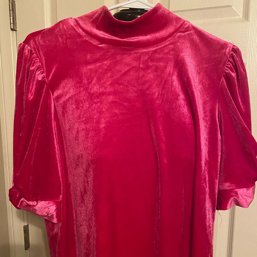 Women’s soft velour short sleeve Hot Pink top by Sanctuary. Size medium.